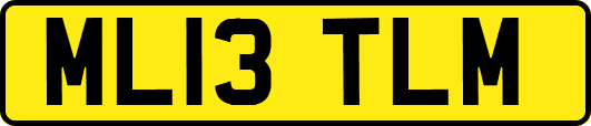 ML13TLM