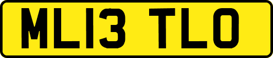 ML13TLO
