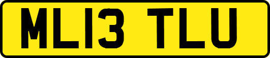 ML13TLU