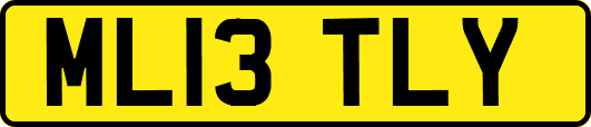ML13TLY