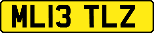 ML13TLZ