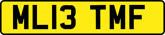 ML13TMF