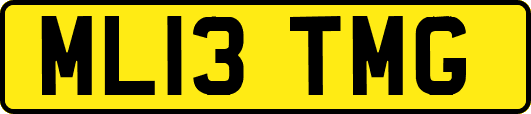 ML13TMG