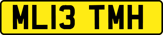 ML13TMH