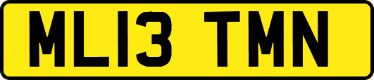 ML13TMN