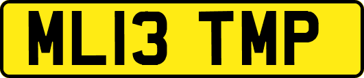 ML13TMP