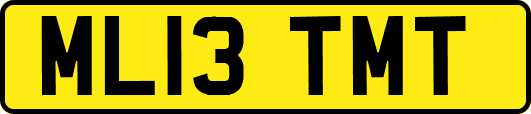 ML13TMT