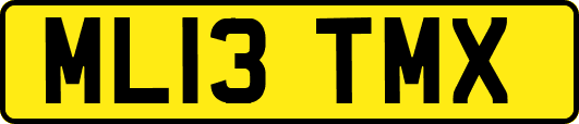ML13TMX