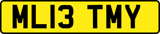 ML13TMY