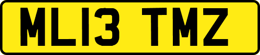 ML13TMZ