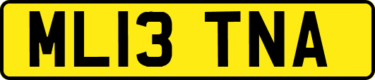 ML13TNA