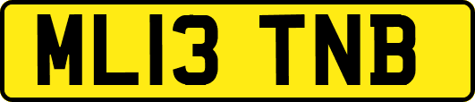 ML13TNB