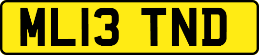 ML13TND