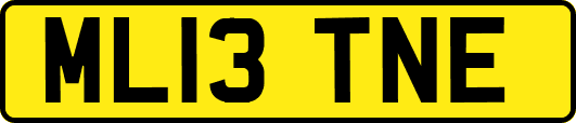 ML13TNE