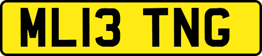 ML13TNG