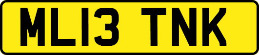 ML13TNK
