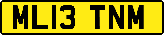 ML13TNM