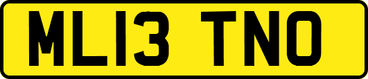 ML13TNO