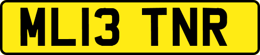 ML13TNR