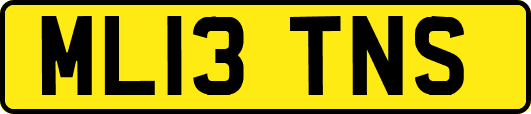 ML13TNS