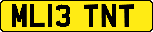 ML13TNT