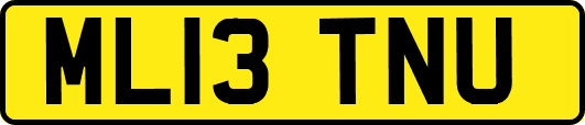 ML13TNU