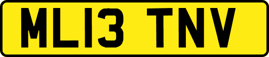 ML13TNV