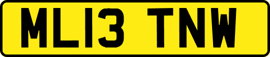 ML13TNW