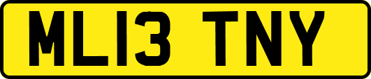 ML13TNY