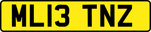 ML13TNZ