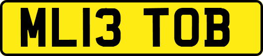 ML13TOB