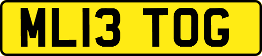 ML13TOG