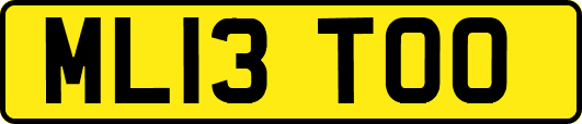 ML13TOO