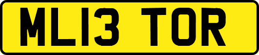 ML13TOR