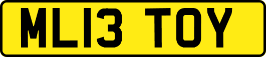 ML13TOY