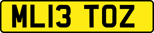 ML13TOZ