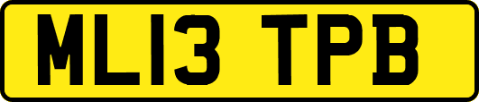 ML13TPB