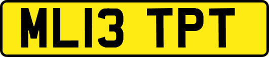 ML13TPT