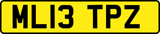 ML13TPZ