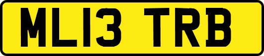 ML13TRB