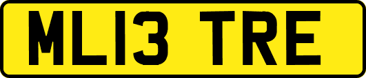 ML13TRE