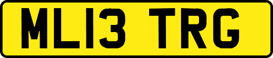 ML13TRG