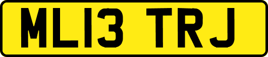 ML13TRJ