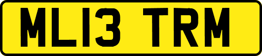 ML13TRM