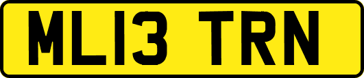 ML13TRN