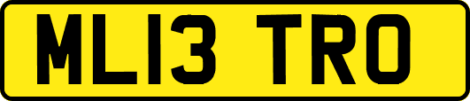 ML13TRO