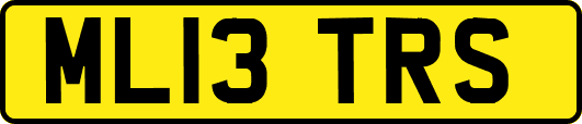 ML13TRS