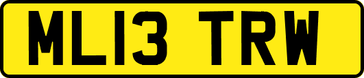 ML13TRW
