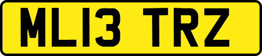ML13TRZ