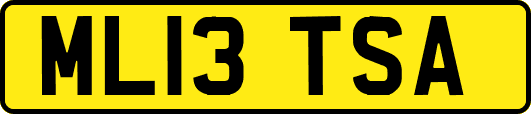 ML13TSA